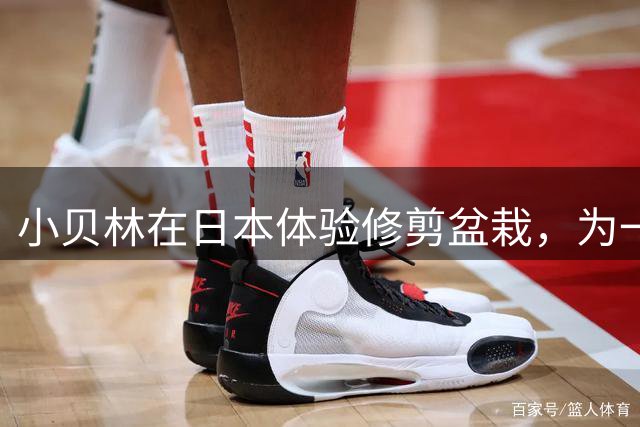 小贝林在日本体验修剪盆栽，为一盆价值超百万元的盆栽修剪